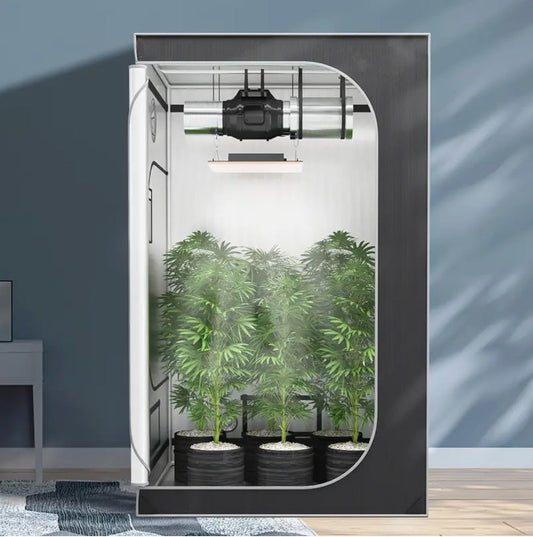 Votre serre intérieure : comment choisir la chambre de culture idéale pour votre jardin hydroponique