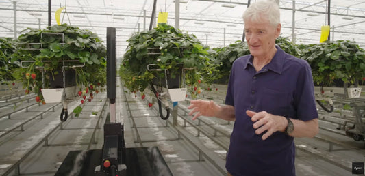 L'incroyable ferme hydroponique de Dyson : révolutionner l'agriculture de demain !