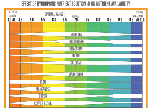 🧪 Comprendre l’impact du pH sur la disponibilité des nutriments en hydroponie