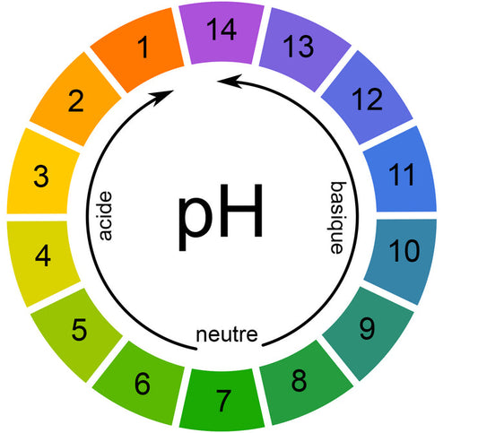 Qu'est-ce que le ph et pourquoi est-il si important en hydroponie ?