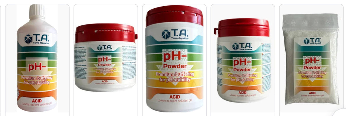 Peut-on utiliser du PH moins de pisicine pour l'hydroponie ?