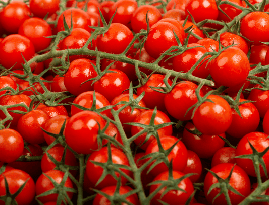 Faire pousser des tomates cerise en hydroponie verticale ?