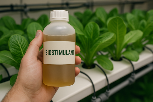 L'utilisation de biostimulants pour des rendements exceptionnels.