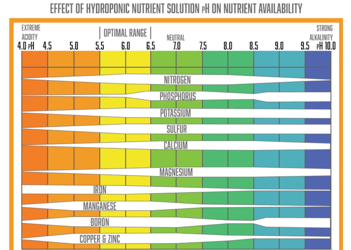 🧪 Comprendre l’impact du pH sur la disponibilité des nutriments en hydroponie