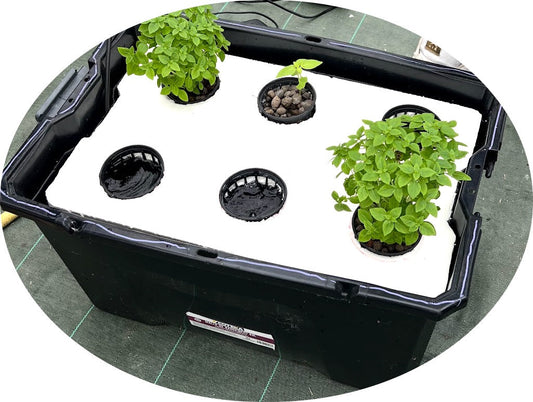 DYI : construire son système hydroponique DWC ou Raft System