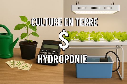L'hydroponie est-elle vraiment plus chère que la culture en terre ? on fait le bilan.
